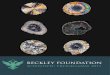 BECKLEY FOUNDATIONbeckleyfoundation.org/wp-content/uploads/2017/07/... · 2020. 9. 8. · ayahuasca, DMT, and 5MeO-DMT), and MDMA. We investigate the action of these substances in