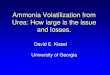 Ammonia Volatilization from Urea: How large is the issue ... · Summary of ammonia loss from UAN •Urea in UAN does not hydrolyze in the fertilizer tank. •The NH 4 + from the ammonium