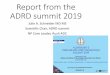 Report from the ADRD summit 2019...health disparities research in ADRD [2 awards, one each starting in FY17 and FY18] • VCID and Stroke in a Biracial National Cohort (REGARDS longitudinal