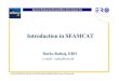 Introduction in SEAMCAT - Wirelesswireless.ictp.it/school_2002/lectures/ratkaj/SEAMCAT/... · 2008. 1. 25. · Additional information about SEAMCAT • SEAMCAT User documentation