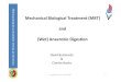 Mechanical Biological Treatment (MBT) and (Wet) Anaerobic ... SS 2011/DB 3.pdfUniversity of Verona, Department of Biotechnology Mechanical Biological Treatment (MBT) and (Wet) Anaerobic
