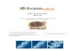 EdU in vivo Kits BCK-IV - Sigma-Aldrich · 2016. 2. 24. · EdU in vivo Kit 3 Generally following standard amounts of EdU are delivered with the kits: In order to freely choose the