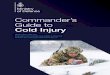 Commander’s Guide to Cold Injury · 2020. 10. 28. · cold injury in the same theatre of operations. Risk Management Commanders have a duty to assess the risks of cold injury arising