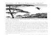 Studies of West Palearctic birds* - The RSPBHeather Calluna vulgaris on Scottish moorland. Earthworm-rich soils are chosen by Woodcocks for feeding areas during the breeding season,