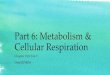 Part 6: Metabolism & Cellular Respiration · 2018. 10. 31. · Overall Summary: Cellular respiration uses glucose and 6O 2 produces 6CO 2, 6H 2 O and approx. 30-32 ATP (this is a