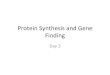 Protein Synthesis and Gene Finding - GitHub Pages · 2018. 5. 7. · Mini-Project: Gene Finder! • Create a python program that performs ab initio gene finding by – Determining