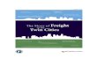 Twin Cities Metro Freight Initiative Story of Freight December 2011 · 2013. 7. 25. · Twin Cities Metro Freight Initiative The Story of Freight in the Twin Cities Executive Summary