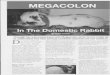 MEGACOLON - pva.apeldoorn konijnen.pdf · 2020. 3. 15. · MEGACOLON In The Domestic Rabbit By Dani Tomlin Through her own experience with Megacolon, Dani Tomlin helps us to understand