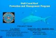 DoD Coral Reef Protection and Management Program › dtic › tr › fulltext › u2 › a497793.pdftom egeland (asn(i&e)) lorri schwartz (navfac) alex viana (nfesc) steve smith (nfesc)