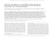 ASY1 mediates AtDMC1-dependent interhomolog recombination during meiosis …genesdev.cshlp.org/content/21/17/2220.full.pdf · 2007. 8. 21. · ASY1 mediates AtDMC1-dependent interhomolog