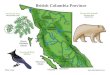 British Columbia Province - Exploring Nature · 2017. 8. 29. · r Boreal Plain Ecozone Montane Cordillera Ecozone Taiga Plains Ecozone Boreal Cordillera Ecozone Pacific Maritime