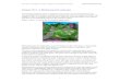 Chapter 26.2. A Multitextured Landscapead/jg2/ch06/multitexLand.pdf · Java Prog. Techniques for Games. Chapter 26.2. Multitextured Land Draft #1 (22nd June '06) 1 Chapter 26.2. A