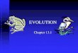 PowerPoint Presentation - EVOLUTION · 2019. 1. 29. · Darwin’s Theory of Evolution Evolution, or change over time, is the process by which modern organisms have descended from