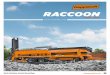 RACCOON - Doppstadt · Raccoon can reach a throughput of 50 to 80 m³/h. Through the simple installation of a conversion kit, a mobile Doppstadt screening machine can be turned into