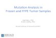 Comparative Mutational Analysis in Frozen and FFPE Tumor Samples · MutaPon Analysis in Frozen and FFPE Tumor Samples Gad Getz, PhD KrisPn Ardlie, PhD Broad InsPtute of Harvard and