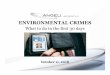 Environmental Crimes CLE (Angeli 10-11-18).ppt [Read-Only] · 2018. 10. 11. · Microsoft PowerPoint - Environmental Crimes CLE (Angeli 10-11-18).ppt [Read-Only] [Compatibility Mode]