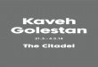 Kaveh Golestan - Vali Mahloujivalimahlouji.com/wp-content/uploads/2014/09/FOAM... · 2014. 12. 11. · Persian translations of American literature. Kaveh’s mother, Fakhri Golestan,