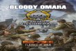 BLOODY OMAHA - Team Yankee › Portals › 0 › all_images › D...The Flames Of War Bloody Omaha Ace Campaign pack is collection of missions for players to use during their Bloody