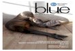 live blue - New England Aquarium · On the cover: Northern fur seals Photo: K. Ellenbogen blue is a quarterly magazine exclusively for members of the New England Aquarium produced