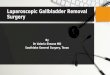 Laparoscopic Gallbladder Removal Surgery – Dr. Valeria Simone MD