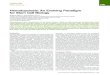 Hematopoiesis: An Evolving Paradigm for Stem Cell Biologyfatstemserbia.brinkster.net/Library/Science/Hematopoiesis...Leading Edge Review Hematopoiesis: An Evolving Paradigm for Stem