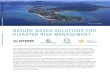 NATURE-BASED SOLUTIONS FOR DISASTER RISK …documents1.worldbank.org/curated/en/...$16,400/meter (m)7. Revegetating and restoring sand dunes can cost between $100 to $16,400/m. Seagrass
