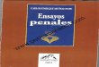  · 2019. 3. 2. · Catedrático de Derecho Penal Universidad de Panamá ENSAYOS PENALES PANAMA VIEJO PANAMÁ 2001 . ... organizado por la Universidad Externado de Co- lombia, en