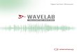 WaveLab Yellowtec Edition Operation Manual · 2017. 12. 11. · WaveLab Yellowtec Edition is unable to play back. The Windows MME driver is an exception from this. You can run WaveLab
