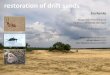 restoration of drift sands - European Commission...PoDD duration (days) recommendations drift sands • only large scale reactivation reactivation in areas of several ha’s • depending