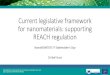 Current legislative framework for nanomaterials ......•A revised definition is being discussed. •Largely the same but with some important changes. •Clarification that it does