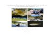Sacramento Pikeminnow in the South Fork Eel River: Trend … · Eel River Recovery Project – Sacramento Pikeminnow Monitoring – Summer 2017 Page 5 Methods The 2017 South Fork