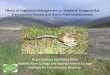 Effects of Vegetation Management on Stephens’ Kangaroo Rat ... · Dichelostemma capitatum Blue dicks Mirabilis laevis California four o'clock . Implications •Long-term implications