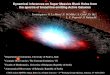 Dynamical inferences on Super Massive Black Holes from the ...Dynamical inferences on Super Massive Black Holes from the spectra of broad line emitting Active Galaxies COST Action
