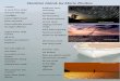 Stockton Island by Marie Zhuikov - Wisconsin DNRdnr.wi.gov › topic › GreatLakes › documents › 2019 › Zhuikov2.pdfStockton Island, by Marie Zhuikov Background photo by Marie