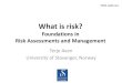 What is risk? - CNIM...Terje Aven University of Stavanger, Norway ESRA webinars Welcome to this first ESRA webinar: titled: what is risk? Foundations in risk assessments and management