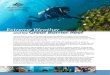 Extreme Weather and the Great Barrier Reef · These extreme weather events damaged coral reefs and seagrass beds, leading to ... Three of the last four summers have all had above