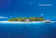 Angsana Ihuru - Purely Maldives · 2015. 3. 16. · At Angsana Ihuru, be surrounded by one of the most vibrant and well preserved coral house reefs in the Maldives. Located on the