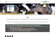 coloQuick - Making Better Cows by Working Smarter - By ......Antibodies from colostrum… // coloQuick International A/S, March 2020 3 When a calf receives a high concentration of