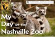 at the Nashville Zoo - VUMC · 2018. 4. 26. · © Vanderbilt TRIAD I am going to the zoo! At the zoo, there are many animals to see and activities to do