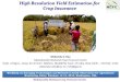 High Resolution Yield Estimation for Crop Insurance...shibendu.ncfc@nic.in; ncfc@gov.in High Resolution Yield Estimation for Crop Insurance Workshop on Emerging Technologies and Methods