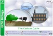 The Carbon Cycletodhigh.com/clickandbuilds/WordPress/wp-content/uploads/... · 2018. 3. 2. · Boardworks GCSE Science - Biology (Spring 2011) Created Date: 3/1/2018 12:57:14 PM 