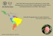Fruit fly Programmes in Latin America · Fruit fly Programmes in Latin America – Pedro Rendón/Walther Enkerlin . Vienna, Austria, May 22 – 26, 2017. Third FAO-IAEA International