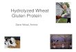 Hydrolyzed Wheat Gluten Protein - Animix LLC · 2018. 9. 21. · Hydrolyzed Wheat’sPhysical properties •Neutral color and taste •Very low ash •No anti-nutritional factors