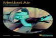 Medical Air - Air Liquide Healthcare Canada...2017/10/27  · Oxygen, Nitrous Oxide, Carbon Dioxide, etc.) Therefore, the standards treat medical air with the same respect. Any opinions