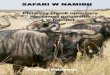 Safari w Namibii - Leanpubsamples.leanpub.com/safariwnamibii-sample.pdfNajpierw było zauroczenie fauną i florą Afryki, potem wpadła mi w ręce książka Pawła Kardasza i Eustachego