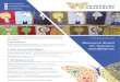 All Teachers Resource Sheet for Teachers...Advice Sheet for KS2 and KS3 teachers – a general overview of colour blindness Leaflet for diagnosed children – to provide reassurance