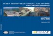 PERU’S DOWNSTREAM NATURAL GAS SECTORdocuments1.worldbank.org/curated/en/168111468143976586/... · 2016. 7. 10. · OSINERGMIN Supervisory Agency for Investments in Energy and Mining