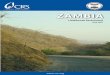 Zambia Livelihoods Assessment - June 2007 - CRS...distinctive soil, ecological and socio-economic characteristics. For years, the zones have determined economic importance in these