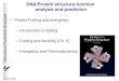 DNA/Protein structure-function analysis and prediction · StructureFunction Analysis 17 Jan 2006 DNA/Protein structurefunction analysis and prediction • Protein Folding and energetics: