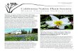 California Native Plant Society - CNPS Marin · 2014. 3. 25. · California, and from Oregon to New Mexico every year to savor their distinctive floras. Author of a growing number